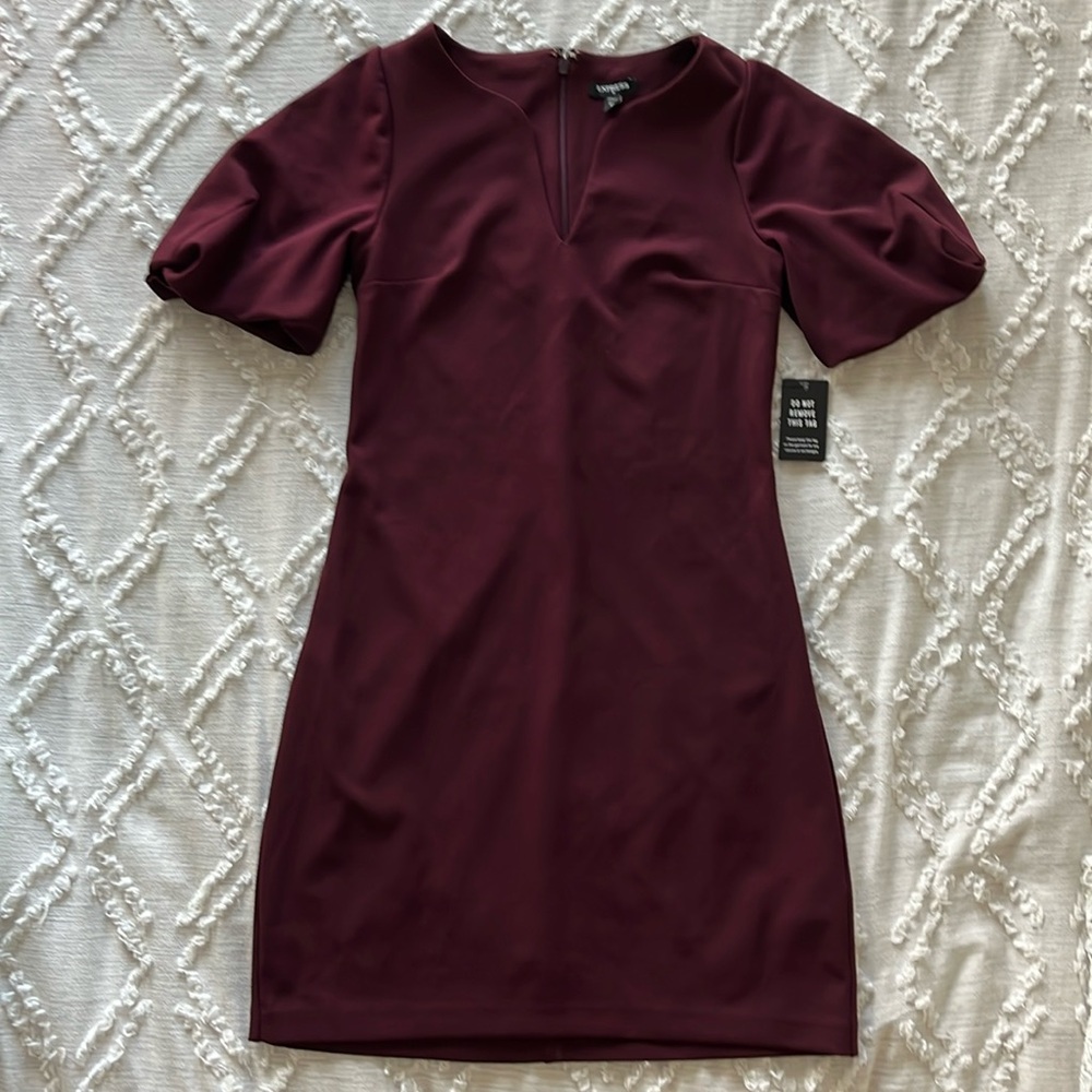 Express Wine Cocktail Dress